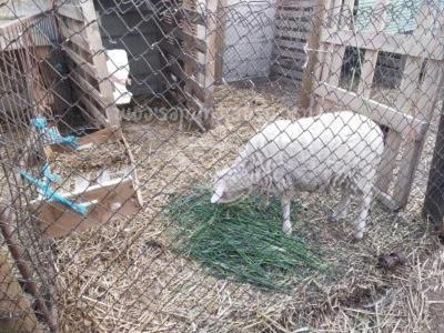 Casa Rural Abuela Simona Vega de Santa María Dış mekan fotoğraf